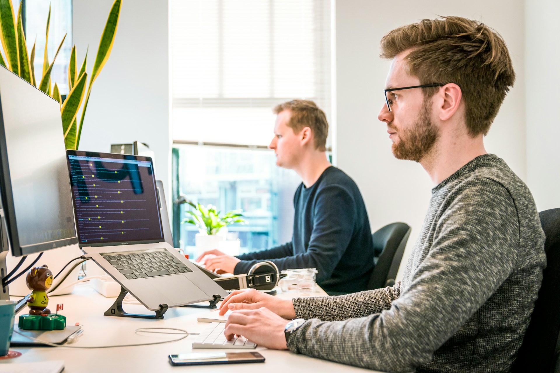 Cedar Pine Labs Development Work